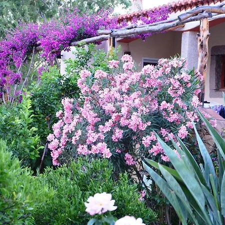 Nel Parco Baia Sardinia *